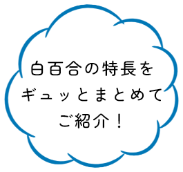 白百合の特長をギュッとまとめてご紹介！